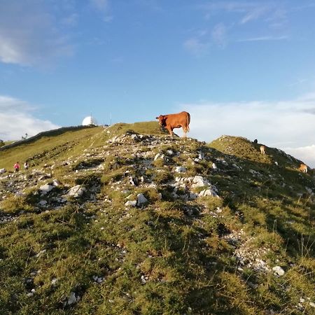 Cahute De Montagne Pour Profiter Du Haut Jura Prémanon Exteriör bild