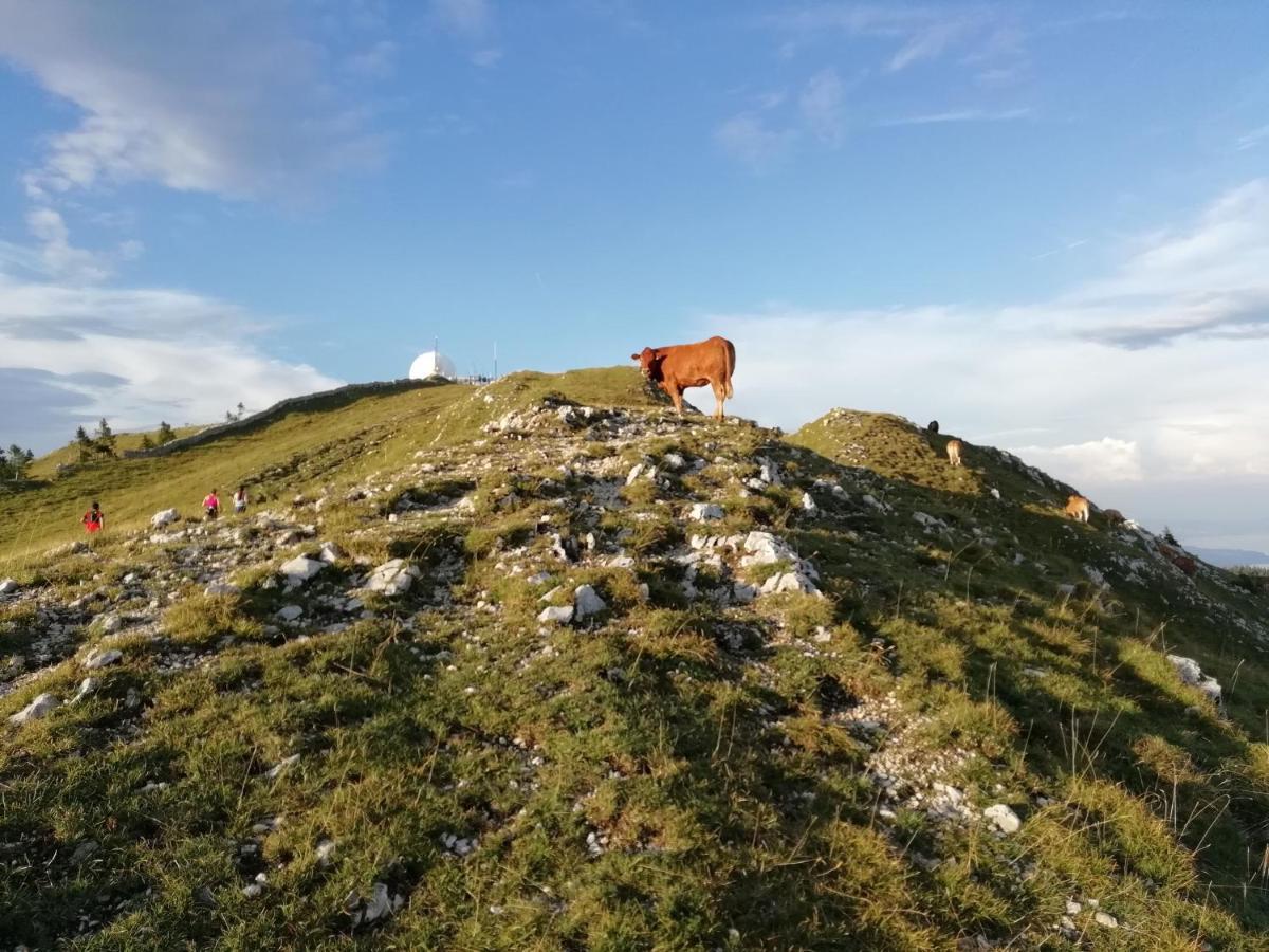 Cahute De Montagne Pour Profiter Du Haut Jura Prémanon Exteriör bild