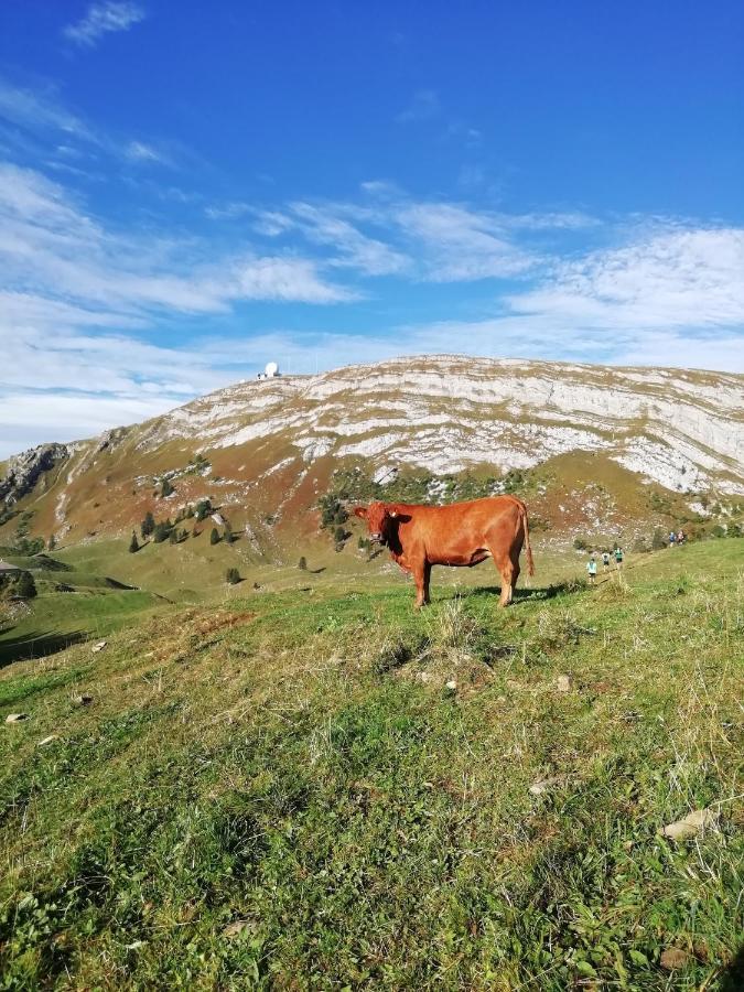 Cahute De Montagne Pour Profiter Du Haut Jura Prémanon Exteriör bild