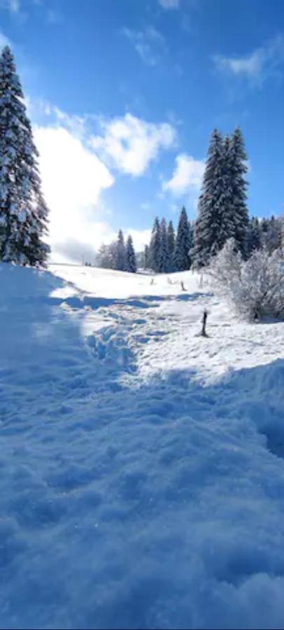 Cahute De Montagne Pour Profiter Du Haut Jura Prémanon Exteriör bild